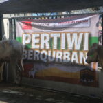 Pertiwi Berqurban 2026 : Wujud Kepedulian dan Kebersamaan Keluarga Besar BBC